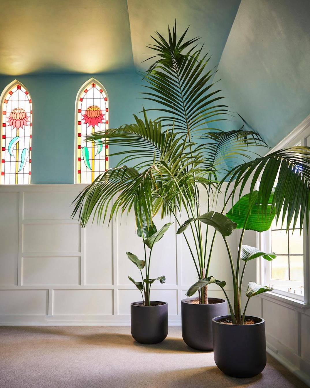 Hôtel Brightlands - Leura Extérieur photo